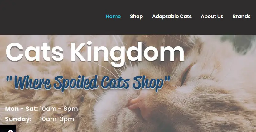 Company logo of Cats Kingdom