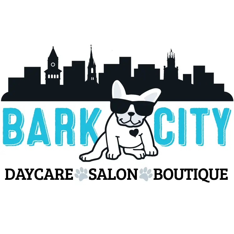 Company logo of Bark City Doggy Daycare
