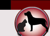 Company logo of Vet Pets Animal Hospital