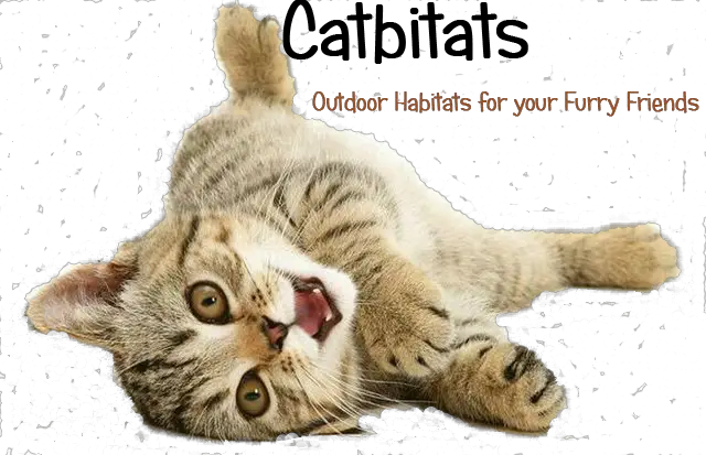 Company logo of Catbitats