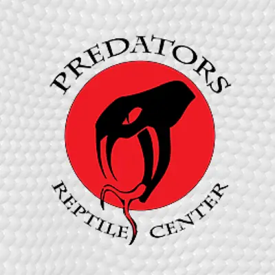 Company logo of Predators Reptile Center