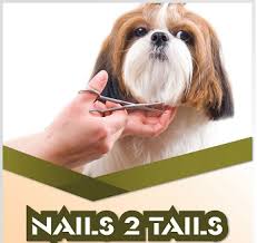 Company logo of Nais Pets