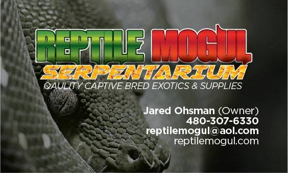 Company logo of Reptile Mogul Exotics
