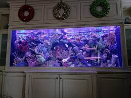 Artistic Aquariums, Inc