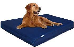 Dog Beds for Less