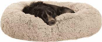 Dog Beds for Less