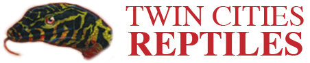 Company logo of Twin Cities Reptiles