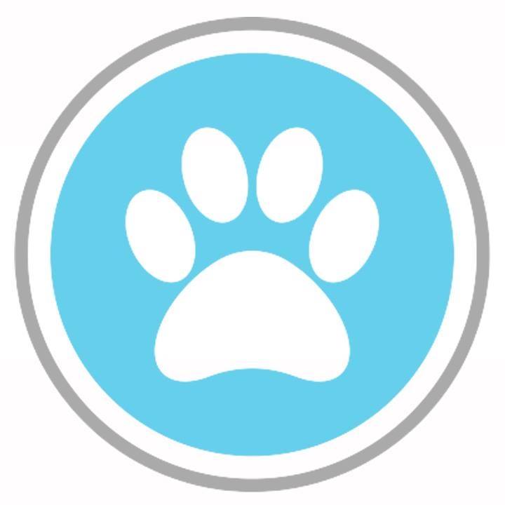 Company logo of City Paws Pet Club - Dog Daycare, Boarding, Training & Grooming