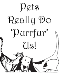 Company logo of Pets Purrfurr Shoppe
