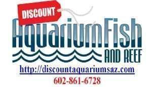 Company logo of Discount Aquarium Fish and Reef