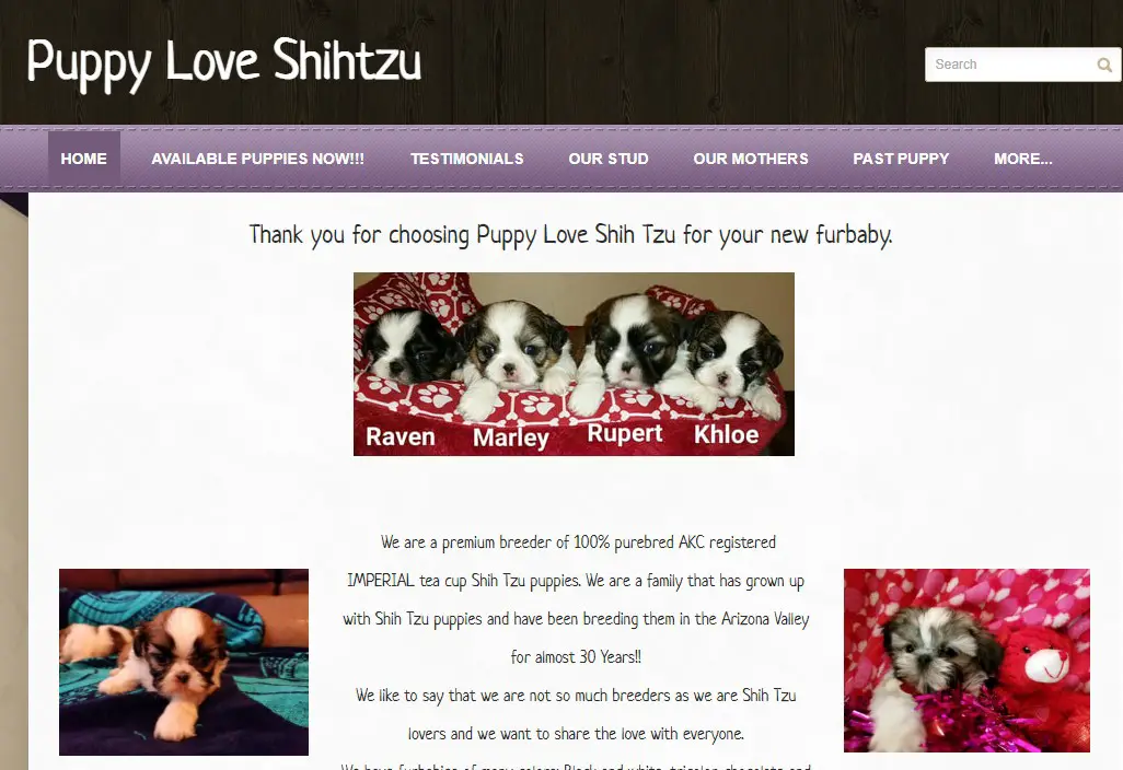 Company logo of Puppy Love Shih Tzu