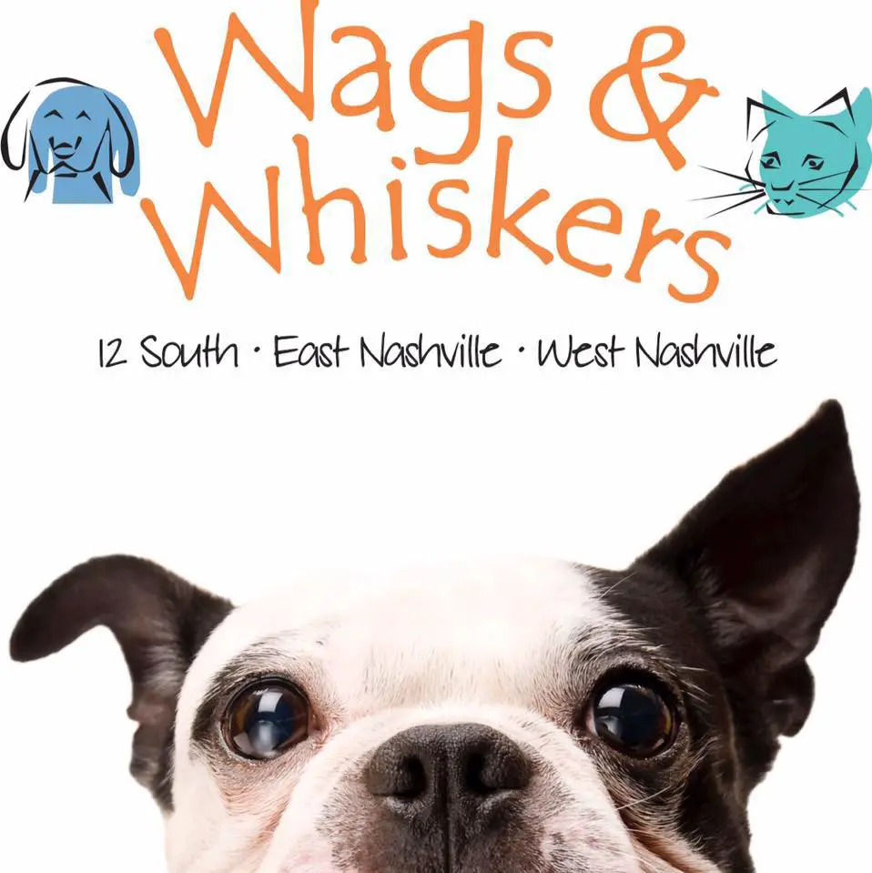 Company logo of Wags & Whiskers - East Nashville