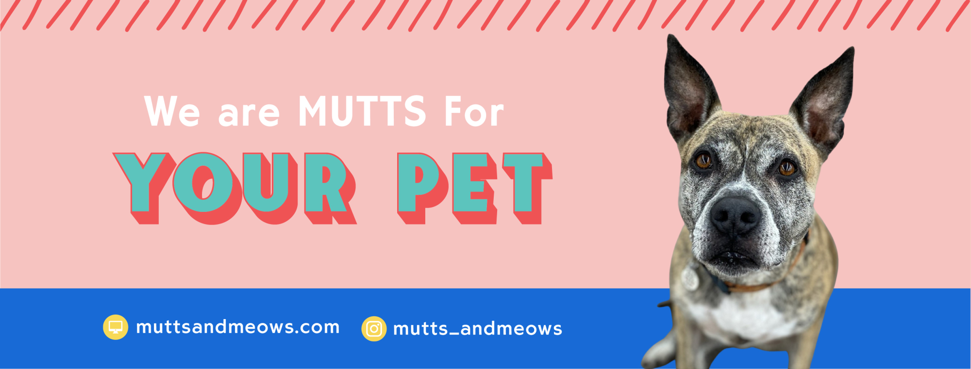 Mutts & Meows Pet Supply Store