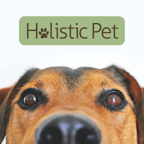 Company logo of Nashville Holistic Pet