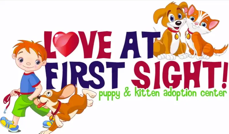 Company logo of Love at First Sight! Puppy and Kitten Adoption Center