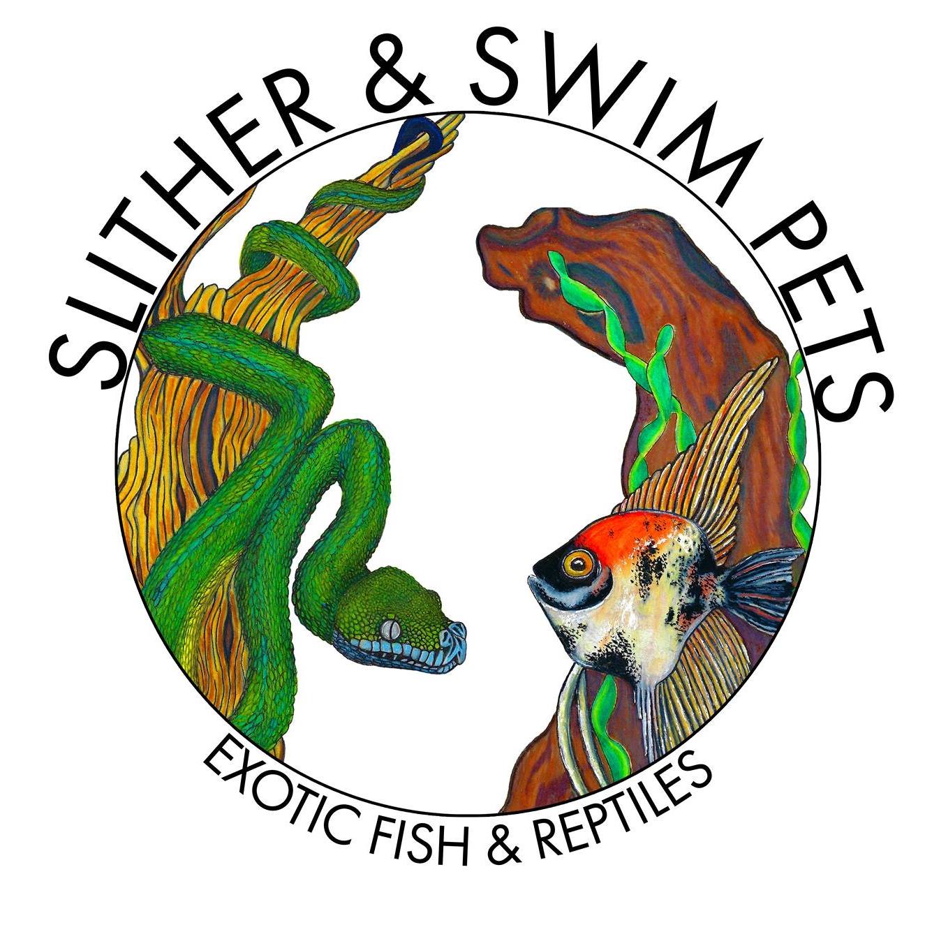 Company logo of Slither & Swim