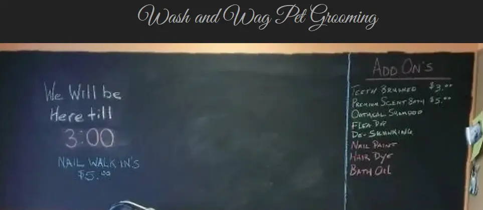 Company logo of Wash & Wag Pet Grooming
