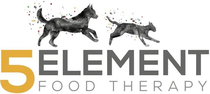 Company logo of 5 Element Food Therapy