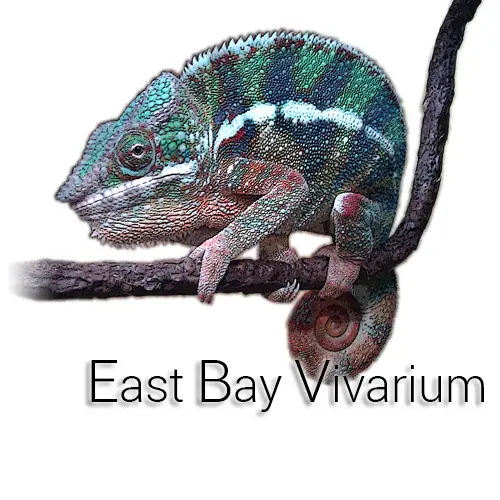 Company logo of East Bay Vivarium