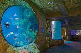Concord Aquarium