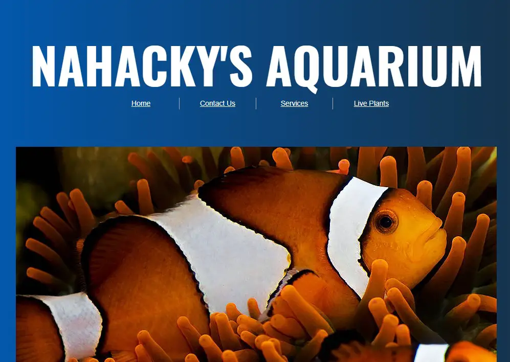 Company logo of Nahacky's Aquarium