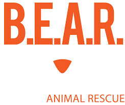 Company logo of Big Easy Petshop and Rescue