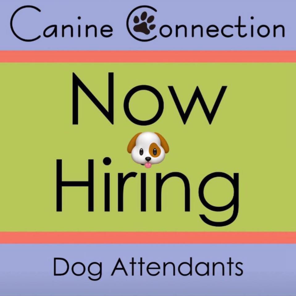 Company logo of Canine Connection