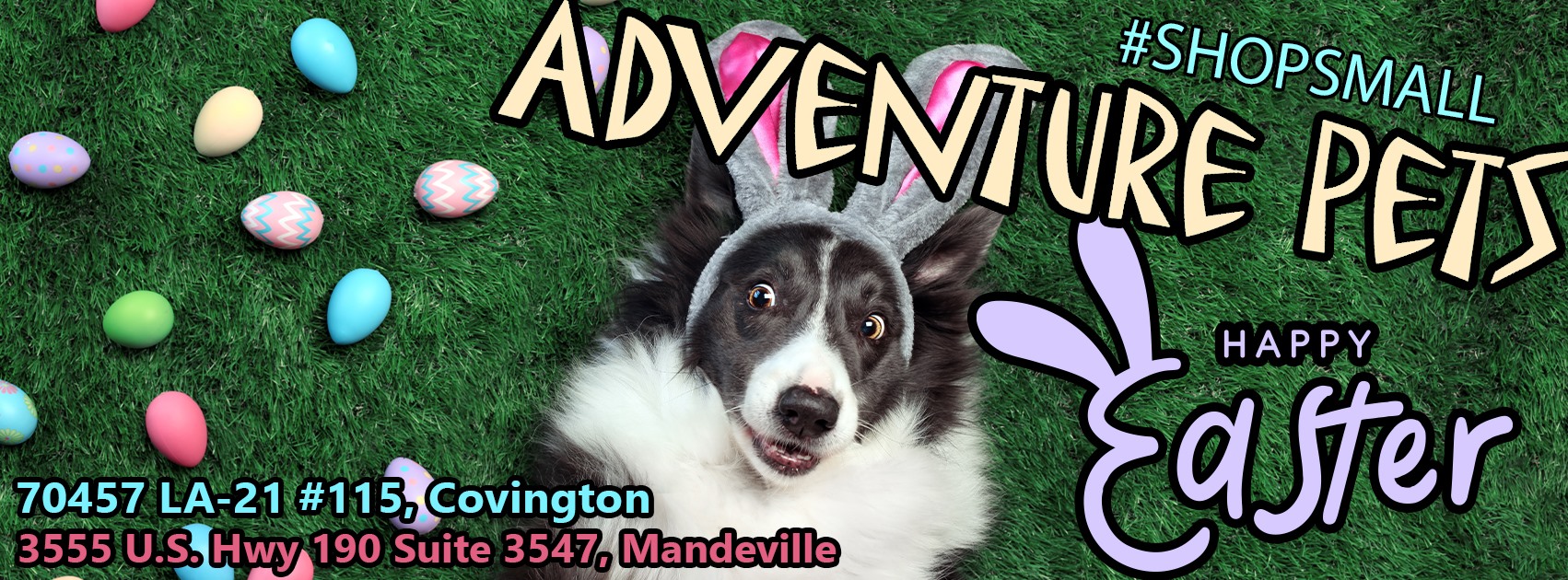 Adventure Pets Covington