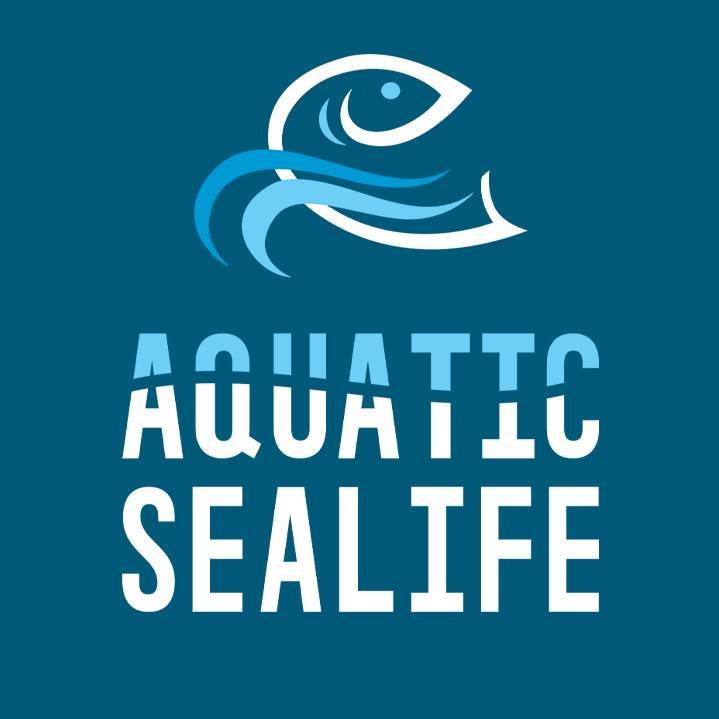 Company logo of Aquatic Sealife