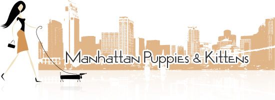 Company logo of Manhattan Puppies & Kittens