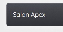 Company logo of Salon Apex