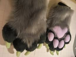 Furry Paws