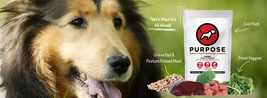 Purpose Pet Food