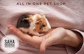 All in 1 Petshop