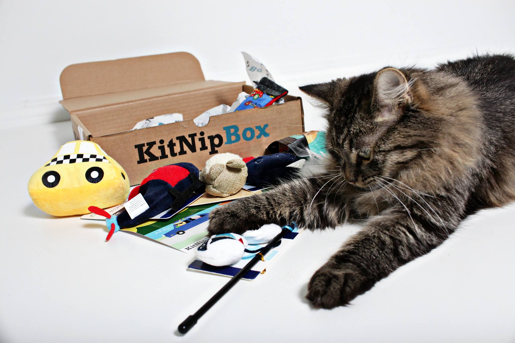 KitNipBox