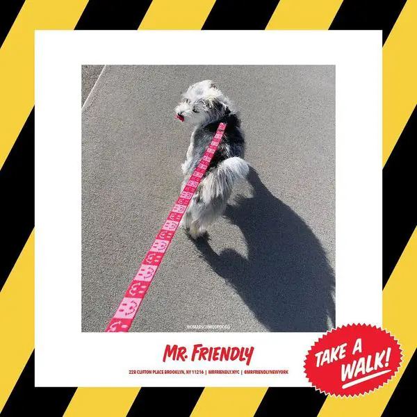 MR. FRIENDLY | Bed-Stuy Pet Supply