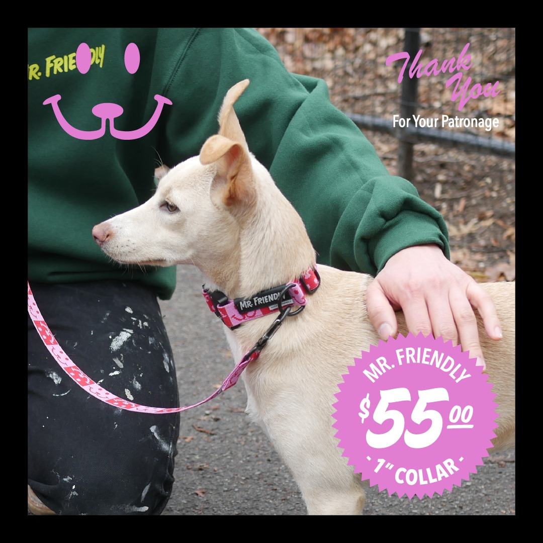 MR. FRIENDLY | Bed-Stuy Pet Supply