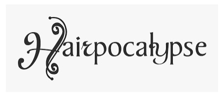 Company logo of Hairpocalypse