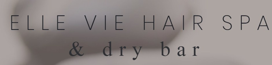 Company logo of ELLE VIE HAIR SPA & dry bar