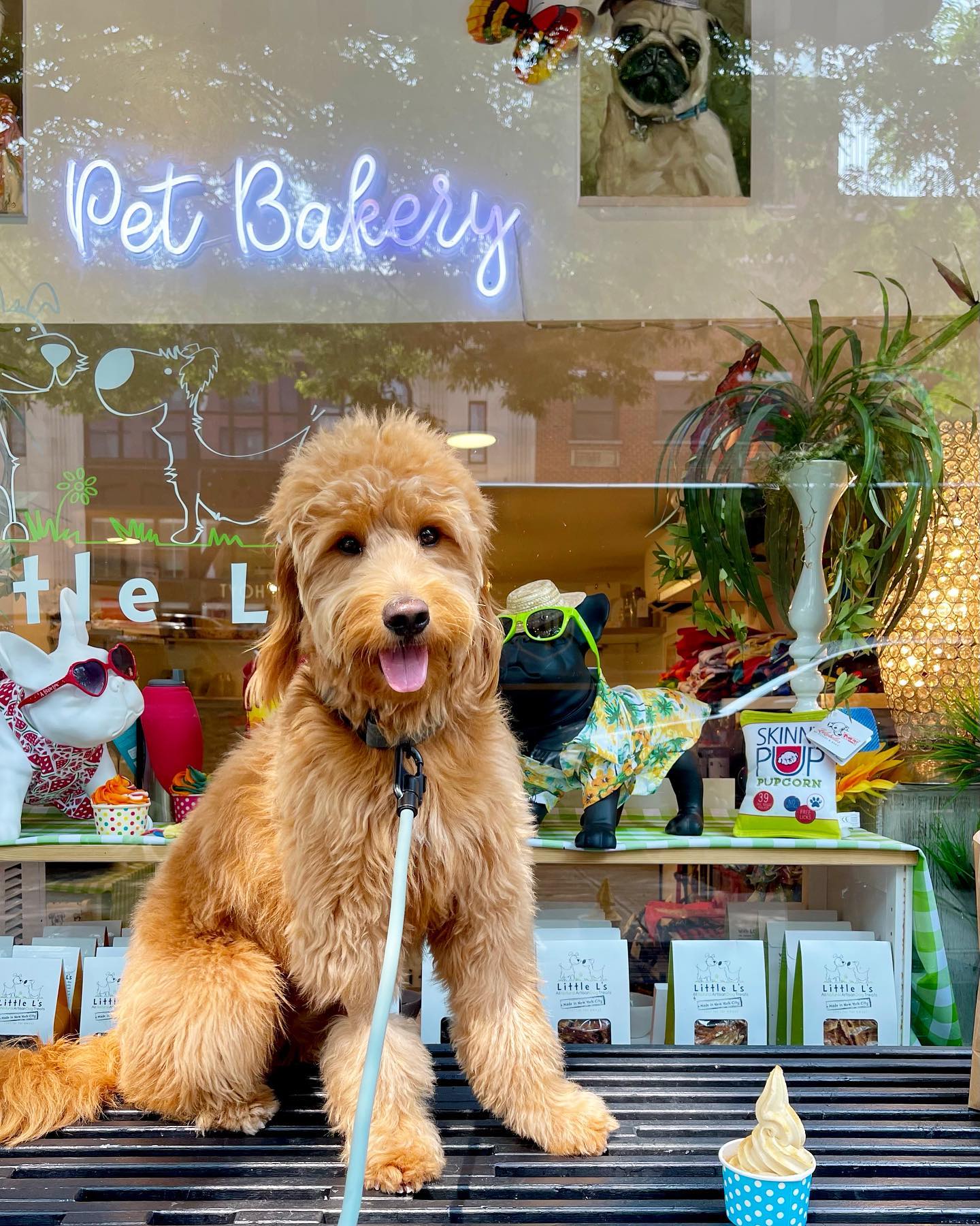 Little L's Pet Bakery & Boutique