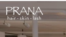 Company logo of Prana Hair Skin Lash