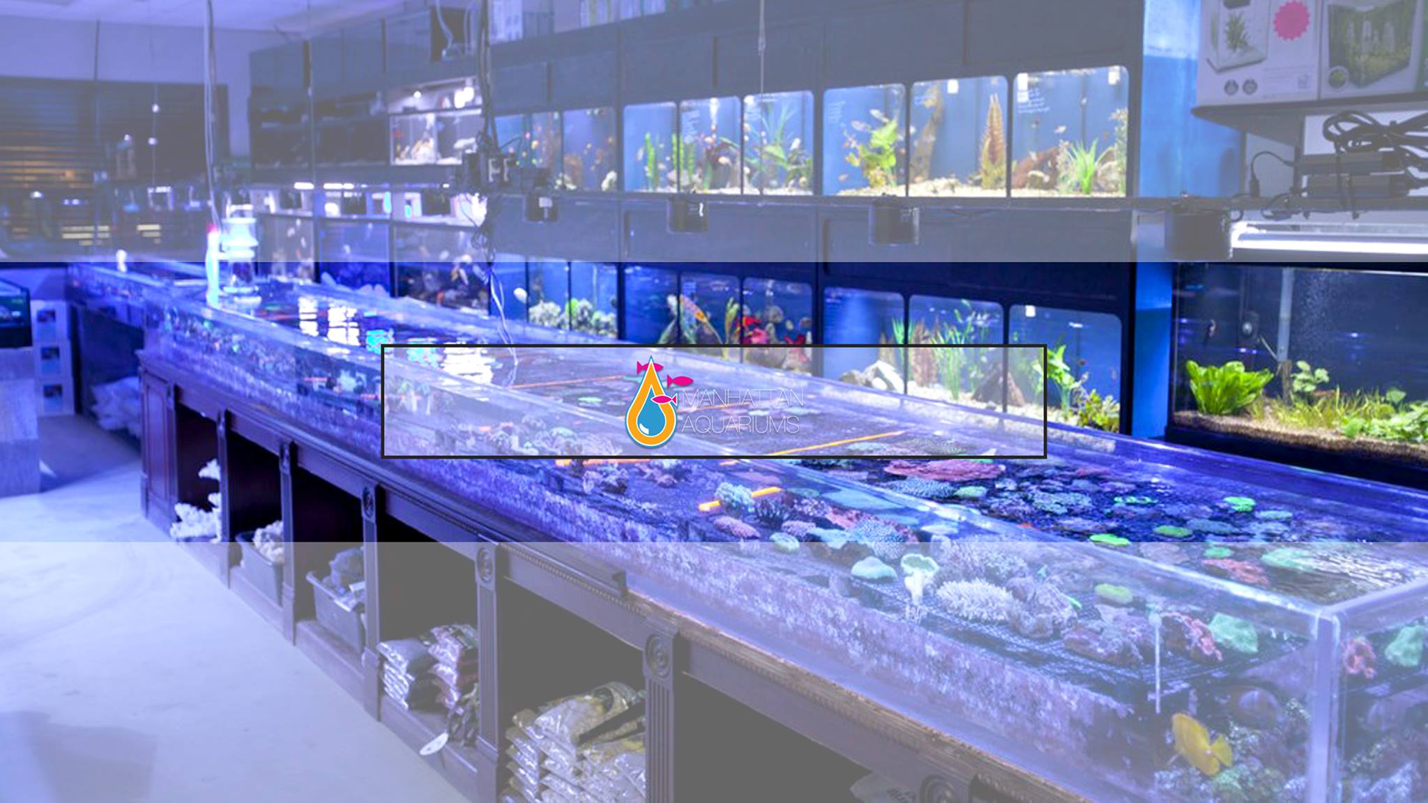 Manhattan Aquariums