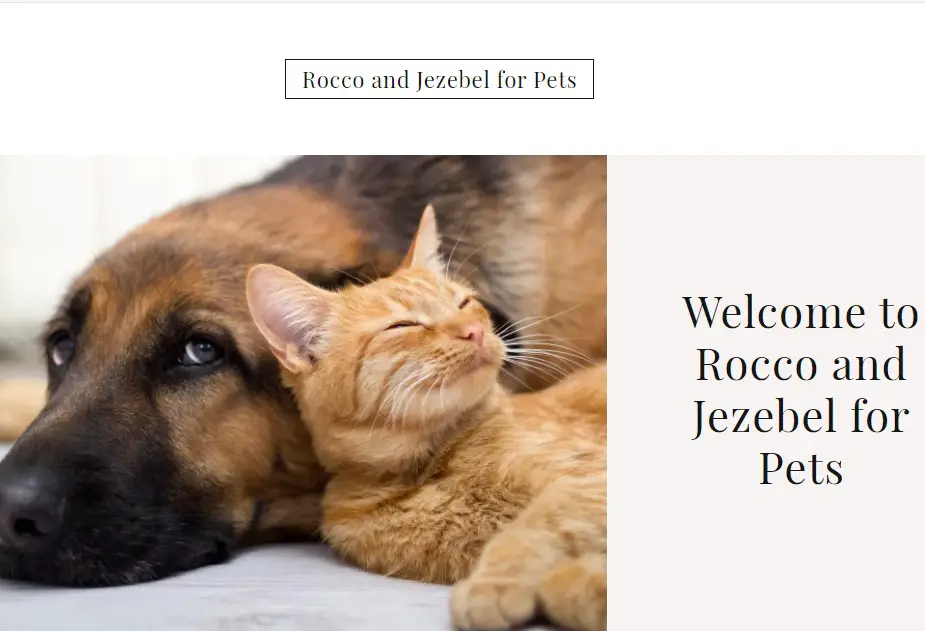 Company logo of Rocco and Jezebel for Pets