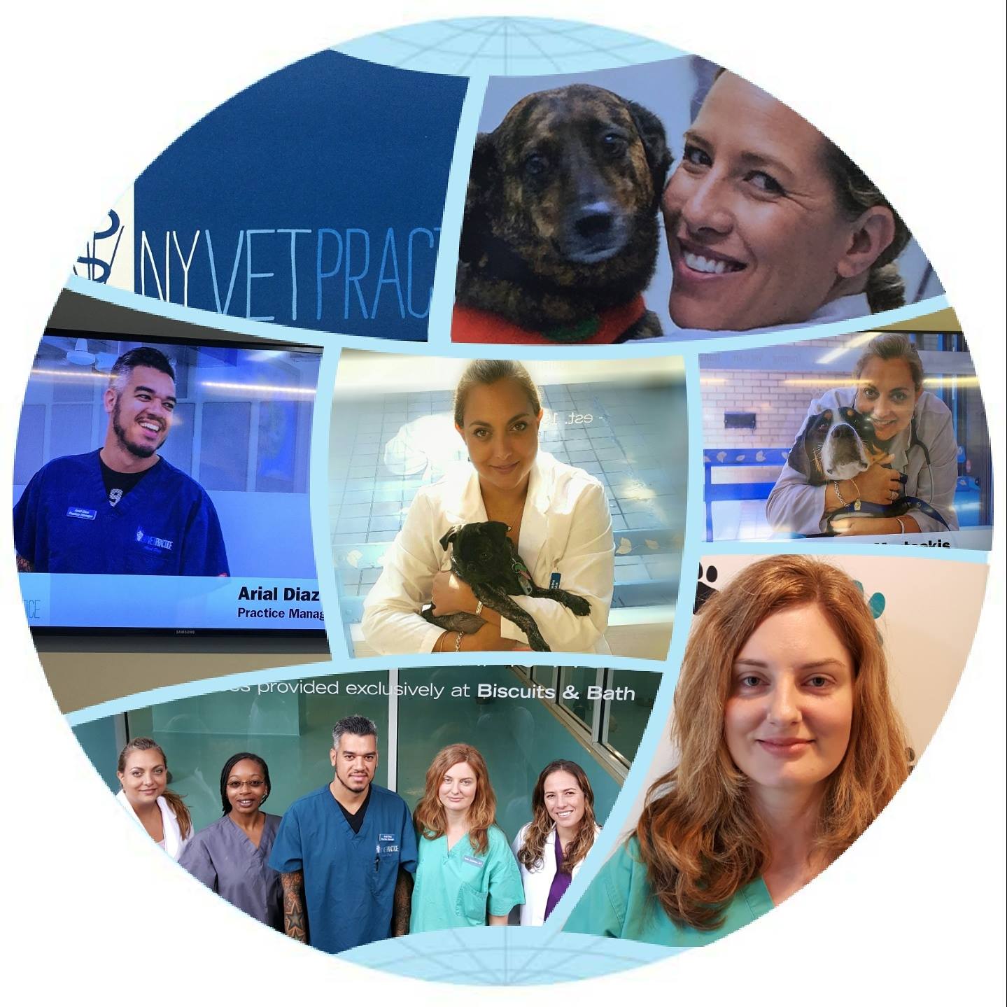 New York Veterinary Practice