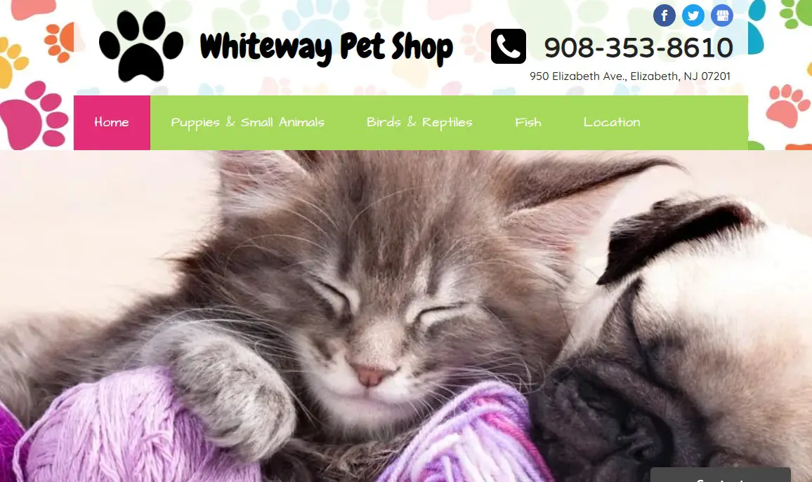 Company logo of Whiteway Pet Shop