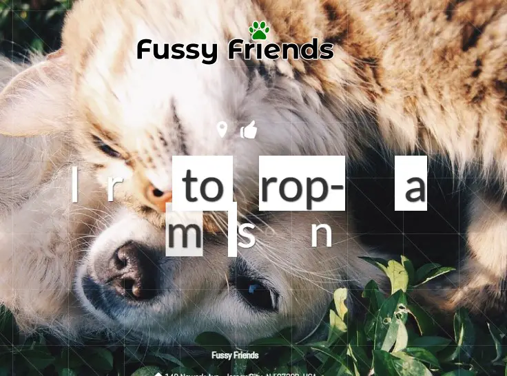 Company logo of Fussy Friends Pet Supplies