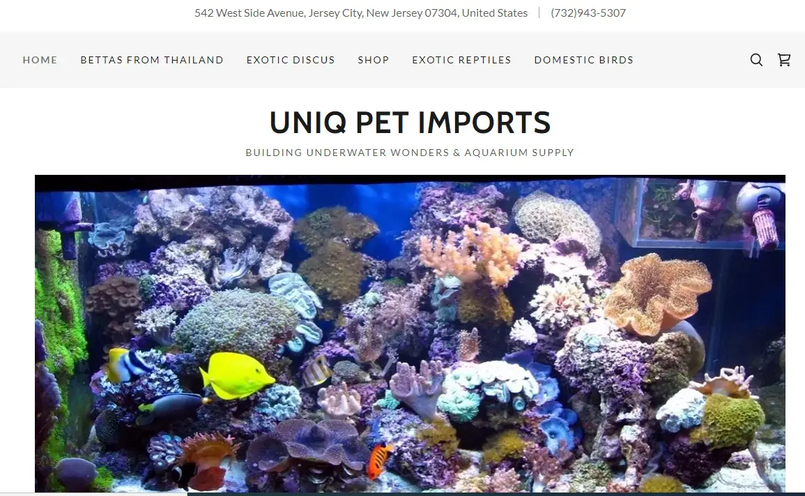 Company logo of Uniq Pet Imports