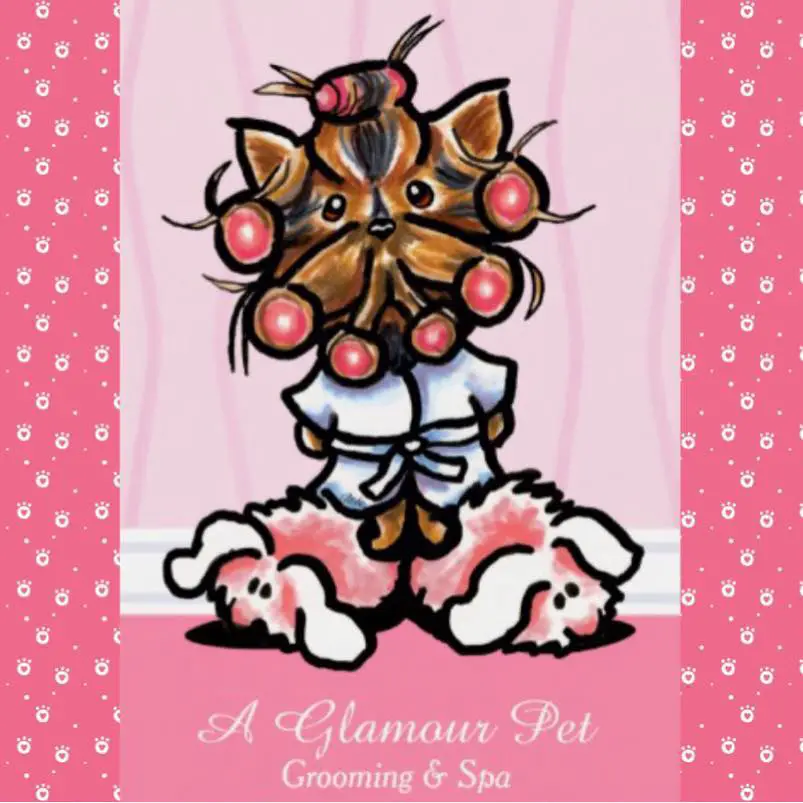 Company logo of A Glamour Pet Grooming Spa