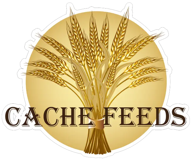 Company logo of Cache Commodities
