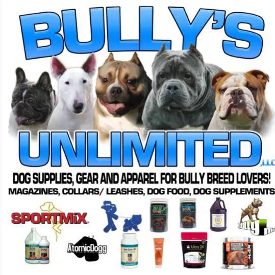 Company logo of Bully's Unlimited